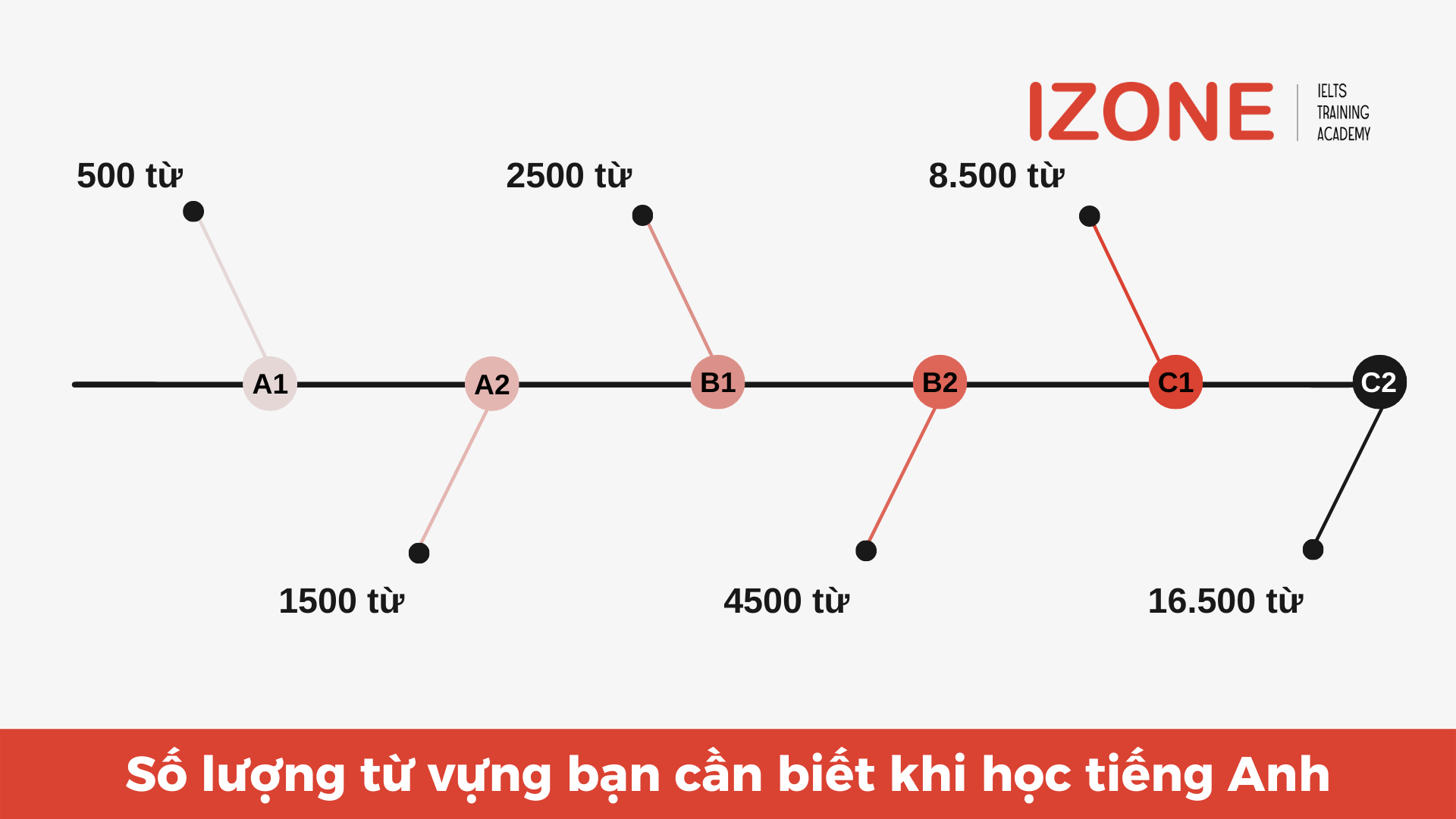 Vocabulary thông dụng