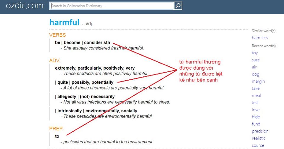 ielts dictionary