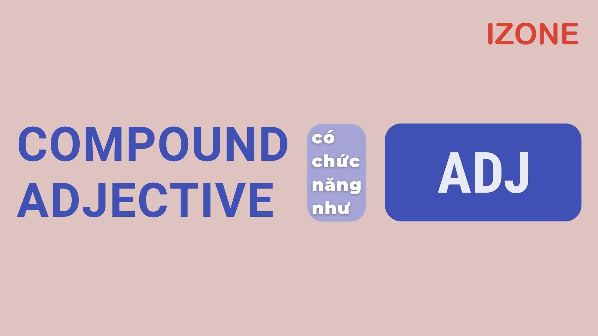 compound adjective là gì
